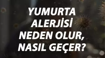 Yumurta Alerjisi Nedir, Neden Olur ve Nasıl Geçer? Yumurta Alerjisi Belirtileri ve Tedavisi Hakkında Bilgi