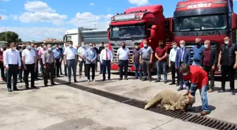 Soma'dan Yatağan Termik Santrali'ne günlük 5 bin ton kömür sevkiyatı yapılacak