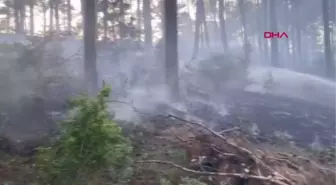 Son dakika haberi... BURDUR'DA ORMAN YANGINI