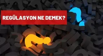 Regülasyon ne demek? Regülasyon nedir? Regüle etmek ne demek?