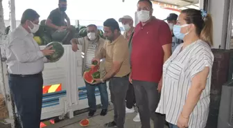 Mersin'de 'ham kavun, karpuz timi' olgunlaşmamış ürünü hasat ettirmeyecek