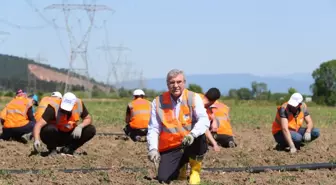 Sakarya'da ata tohumları toprakla buluştu