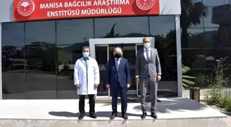 Vali Karadeniz Bağcılık Araştırma Enstitüsü'nde inceleme