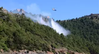 Alanya Kalesi yakınında orman yangını; plajdan söndürme çalışmalarını izlediler