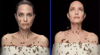 Kadın işçi istihdamı için kamera karşısına geçen Angelina Jolie, dakikalarca arılarla poz verdi