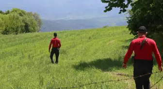 Bolu'da kaybolan alzaymır hastası aranıyor