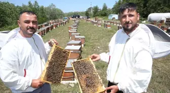 Baba mesleğini sürdüren kardeşler ana arı talebine yetişemiyor