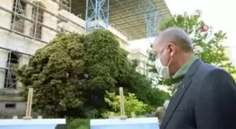 Son dakika... Cumhurbaşkanı Erdoğan, İstanbul'da çeşitli yerlerde incelemelerde bulundu