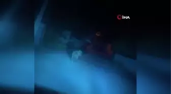 Aç kalıp köye inen yavru ayı böyle görüntülendi