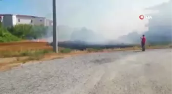 Son dakika haberleri... Buğday tarlasında çıkan yangın tarla sahibini gözyaşlarına boğdu