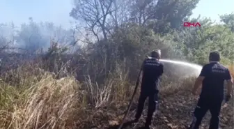 HASADI YAPILACAK, BUĞDAY TARLASI YANDI