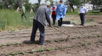 Son dakika haber... Hastaneye gitme fırsatı bulamayan Erzincanlı çiftçi aile çapa yaptıkları tarlada aşılandı