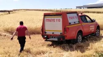 Buğday ve arpa tarlalarında korkutan yangın