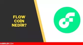 FLOW coin nedir? FLOW coin kimin? FLOW coin projesi ve geleceği