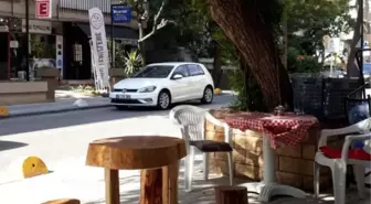 Rize'ye gidemedi, Rize'yi İstanbul'a getirdi! Kadıköy'ün ortasına kovan koydu