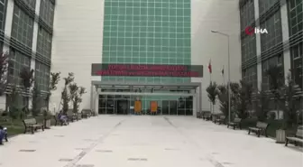 Kene ölümlerine bir yenisi eklendi