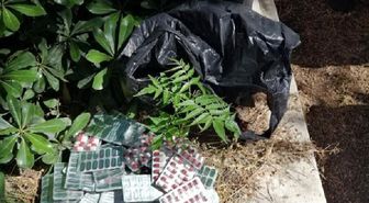 Mezara uyuşturucu saklayan 2 şüpheli tutuklandı