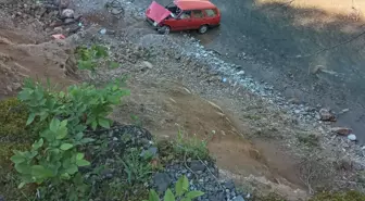 Giresun'da otomobilin dereye devrilmesi sonucu 2 kişi yaralandı