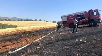 Manisa'da 20 dönüm arpa ekili alan küle döndü