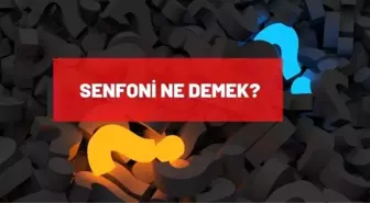 Senfoni ne demek? TDK'ya göre senfoni anlamı ne?