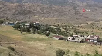 Şırnak'ta yerli ve yabancı 49 akademisyen, Nuh Tufanı ve Cudi Dağını araştırıyor