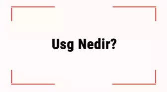Usg Nedir? Usg Ne İçin Çekilir? Tüm Batın Usg Ne İşe Yarar?