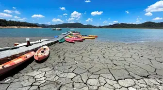 Dünya, küresel ısınma eşiği olan 1.5C dereceye 'gelecek beş yıl içinde ulaşabilir'