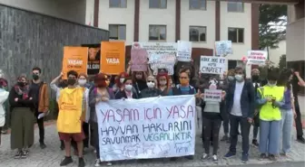 HAYVANSEVERLER, HAYVAN YASASI İÇİN PROTESTO EYLEMİ YAPTI