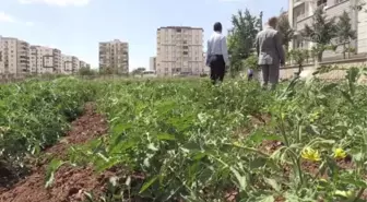 DİYARBAKIR - DİSKİ Genel Müdürlüğünden içme suyunu bahçe sulamasında kullananlara yönelik denetim