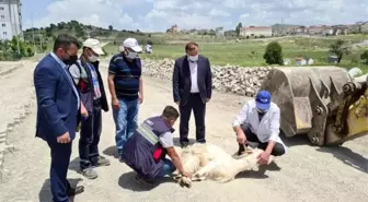 Son dakika haber! İşçiler dakika farkıyla ölümden döndü, başkan kurban kestirdi