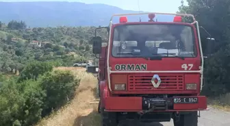 Beydağ'da çıkan yangında zeytin ağaçları zarar gördü