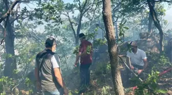 Son dakika... HAMİK DAĞI'NDA ÇIKAN ÖRTÜ YANGINI KONTROL ALTINA ALINDI