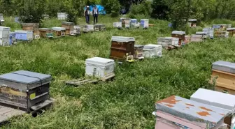 Kırklareli Tarım ve Orman Müdürü Aksoy arı yetiştiricilerini ziyaret etti