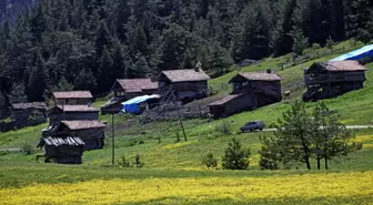 Baharın tüm güzelliklerini sergileyen Kastamonu yaylaları ziyaretçilerini bekliyor