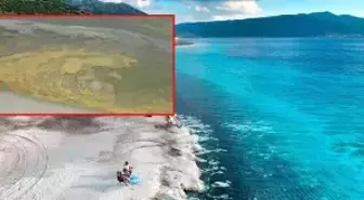 Çevre ve Şehircilik Bakanlığı, Salda Gölü kıyısındaki renk değişikliğine ilişkin çıkan iddiaları yalanladı