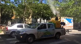 Bağcılar'da maymuncuk operasyonu