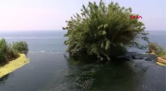 ANTALYA 'KÖPÜKLENME; DÜDEN ŞELALESİ'NİN YARDIM ÇIĞLIĞI'