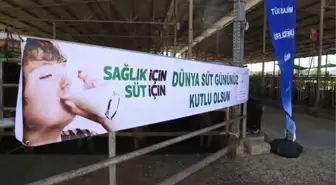 'Dünya Süt Günü' etkinlikleri