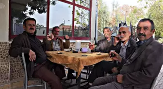 Yeni genelge ile hizmet vermeye başlayacak olan kahvehanelerde, oyun oynamaya izin verilmeyecek