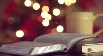 Harbi Sözler: Harbi derin sözler, harbi Mevlana sözleri nelerdir? Harbi delikanlı sözleri! En harbi sözler!