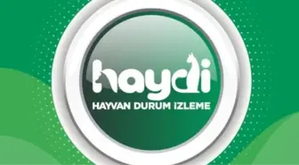 HAYDİ uygulaması nedir? HAYDİ uygulaması ne işe yarar? Hayvan Durum İzleme uygulaması HAYDİ nasıl kullanılır?