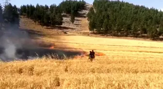 Kahramanmaraş'ta buğday tarlası yandı