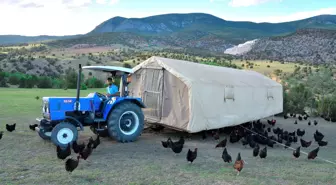 Tavuklarını 'gezen kümes' ile yaylaya çıkaran üretici yumurta talebine yetişemiyor