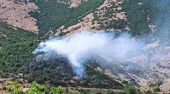 Bingöl'de çıkan orman yangınları büyümeden söndürüldü