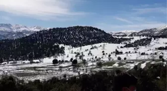 Son dakika haberi... 'ÇED gerekli değildir' kararı iptal oldu, 8 bin dönüm meyve bahçesi kurtuldu