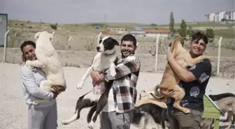 Son dakika haberi: Liseli Berzan, sokak köpeklerine yuva kurdu