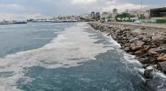 Bostancı Sahili'nde deniz salyası yoğunluğu su altı kamerasıyla görüntülendi