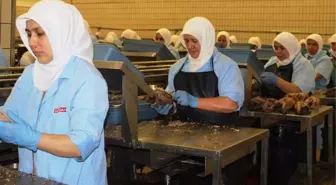 Dardanel'den dev yatırım! Yunan rakibi G. Kallimanis SA.'yı 6 milyon euro'ya satın alıyorlar