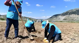 Davraz'da Turizmi 12 Aya Yaymak İçin Çalışmalar Aralıksız Devam Ediyor