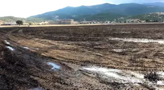 Kahramanmaraş'ta 200 dekarlık buğday tarlası yandı